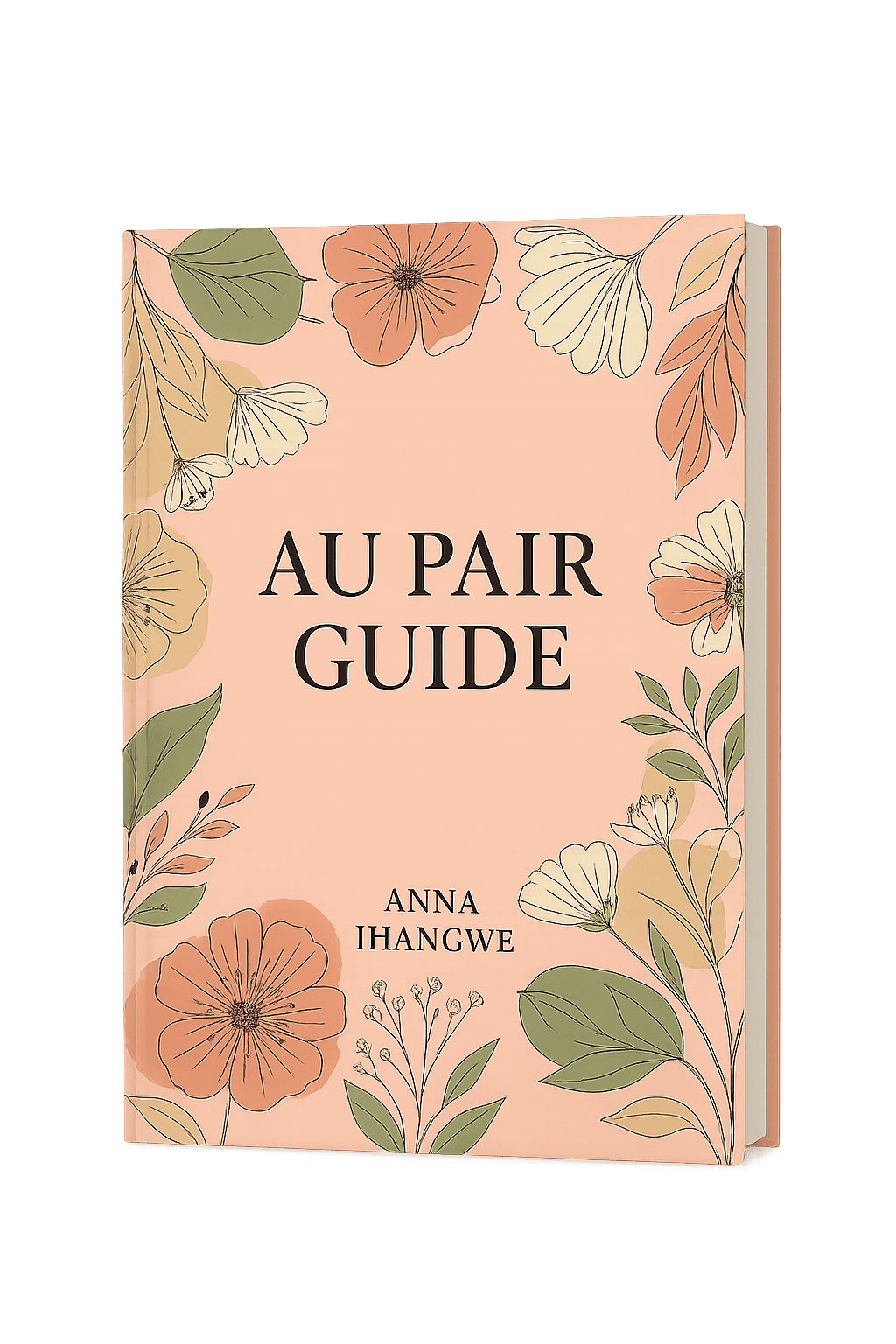The Au Pair Guide Cover
